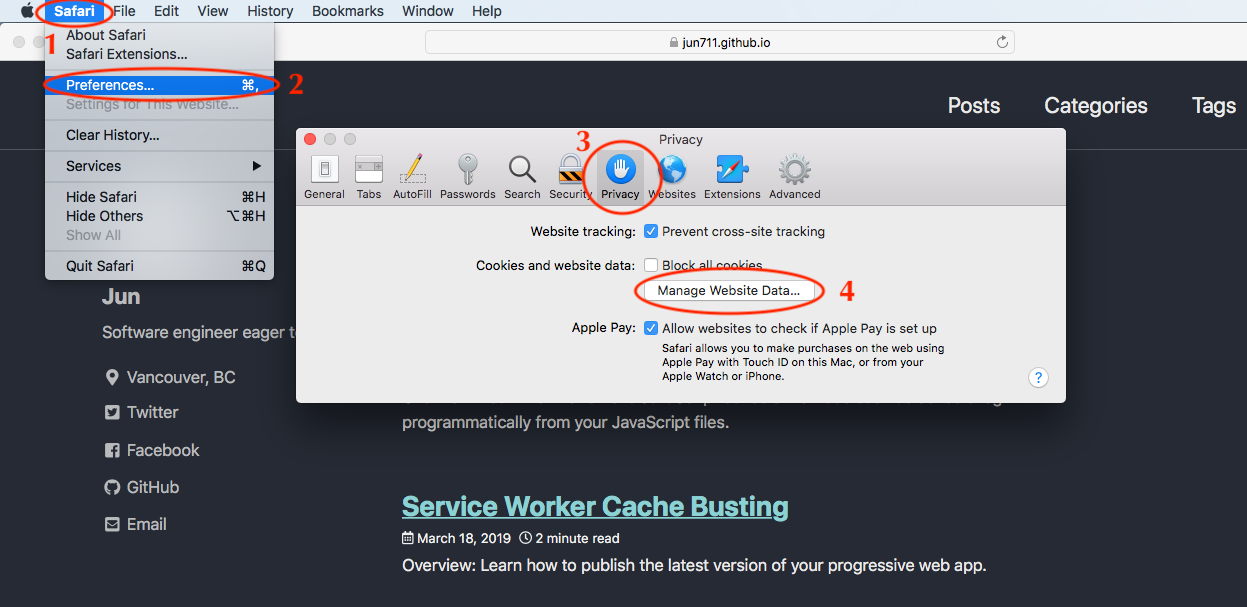 safari service worker cache